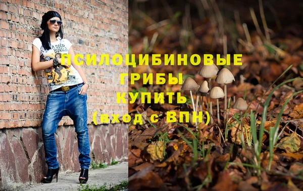 прущие грибы Алзамай