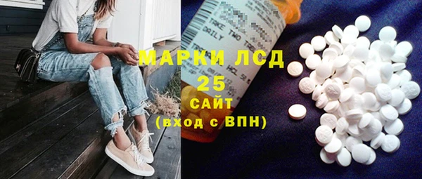 прущие грибы Алзамай