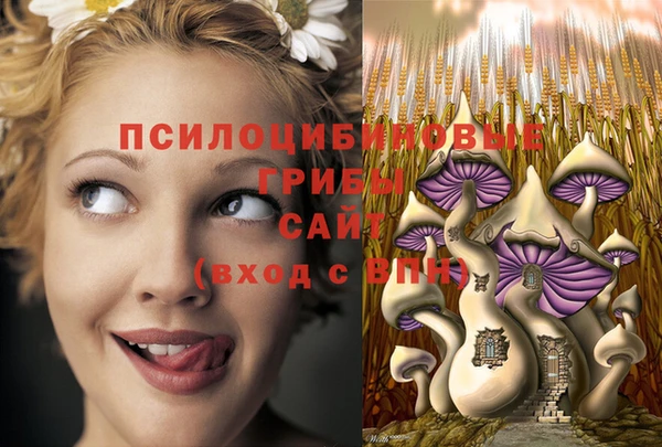 первитин Алексин