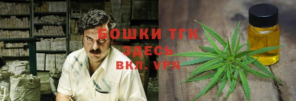 молекула духа Алексеевка