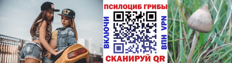 Псилоцибиновые грибы прущие грибы  даркнет сайт  Жуков 
